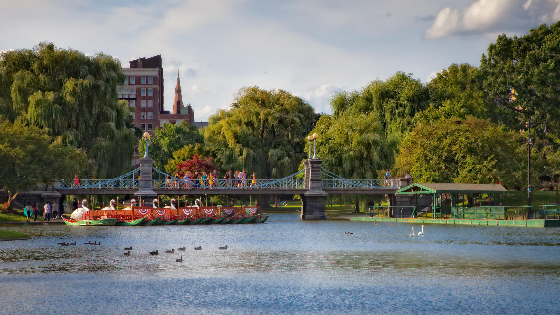 duck boats and a bridge in a park
