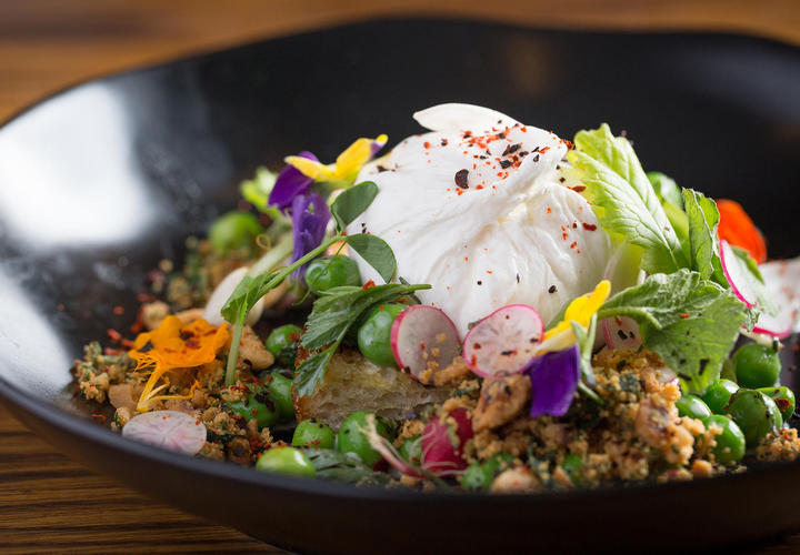 Cultivar Salad