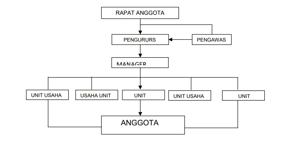 Bagan Struktur Organisasi Koperasi