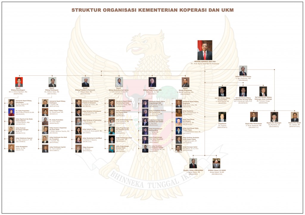 Struktur Organisasi Kementerian Koperasi dan UKM 
