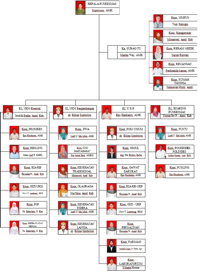 Struktur Organisasi Puskesmas Moswaren