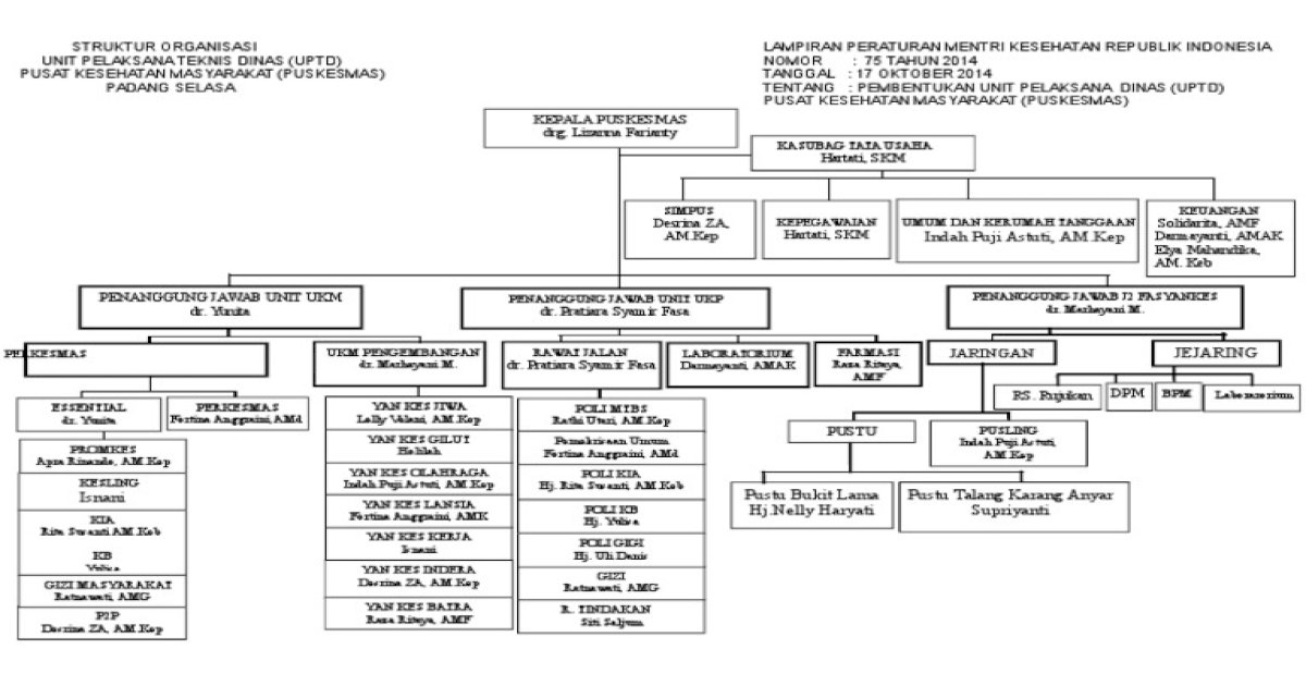 Struktur Organisasi Puskesmas Padang Selasa