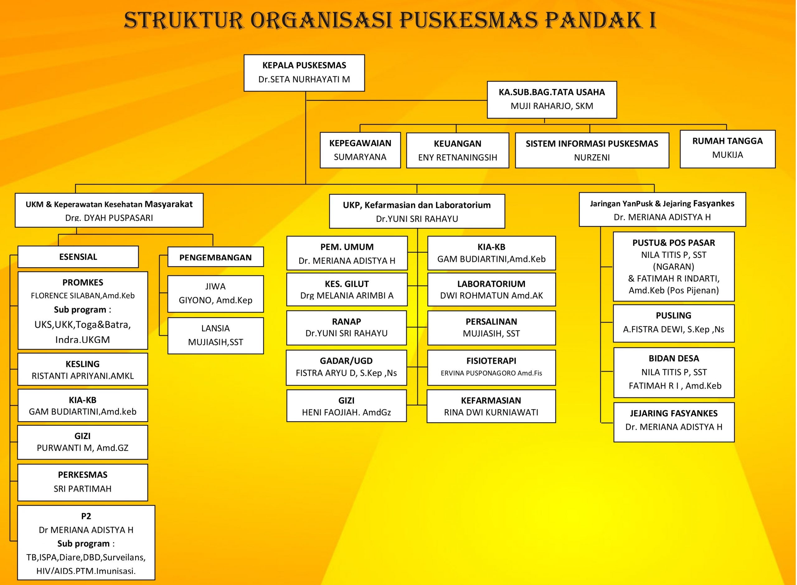 Struktur Organisasi Puskesmas Pandak I