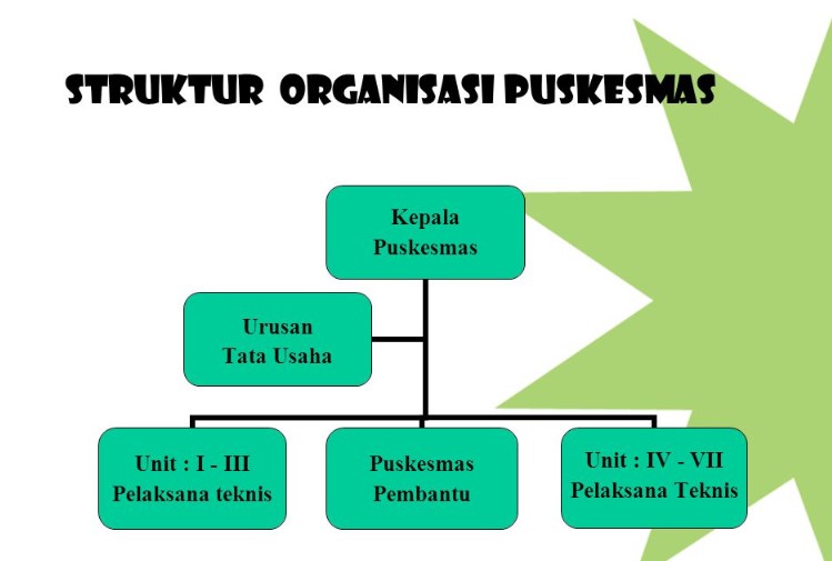 Struktur Organisasi Puskesmas