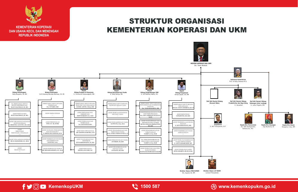 Struktur organisasi kementerian koperasi dan UKM