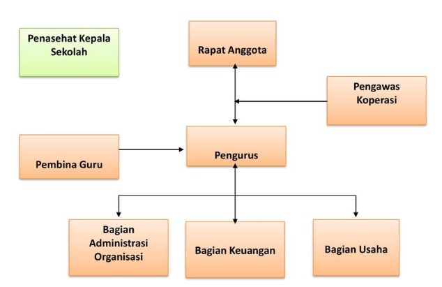 Struktur organisasi koperasi sekolah SMA