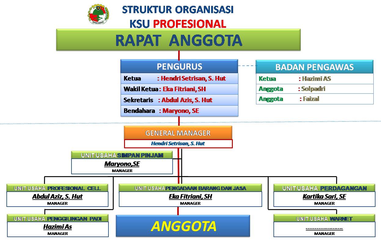 Struktur organisasi koperasi serba usaha profesional lebong