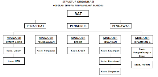 Struktur organisasi koperasi simpan pinjam usaha mandiri
