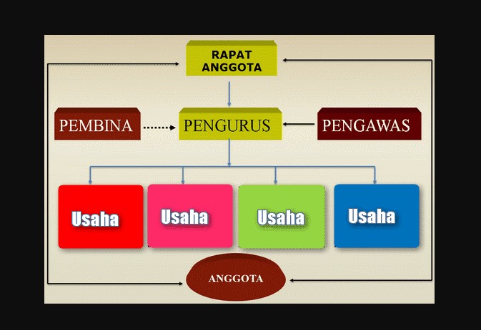 struktur organisasi koperasi terbaru