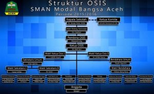 Struktur organisasi OSIS SMAN Modal Bangsa Aceh