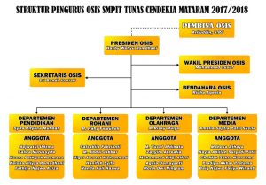 struktur organisasi OSIS SMPIT Cendekia Mataram