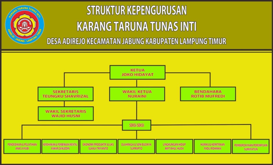 Struktur organisasi karang taruna desa