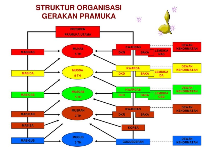 Contoh struktur organisasi gerakan pramuka