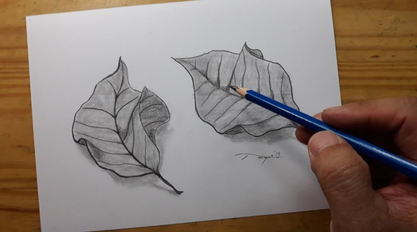 Menggambar Ilustrasi dengan Teknik Kering