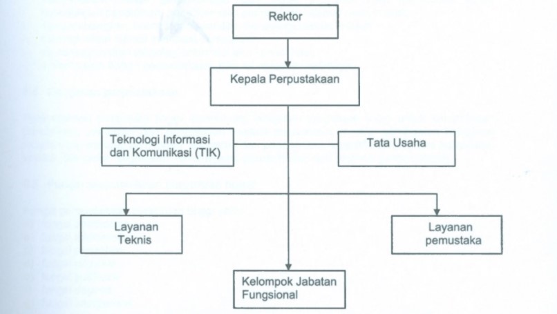 struktur organisasi perpustakaan perguruan tinggi