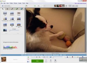 download picasa photo viewer