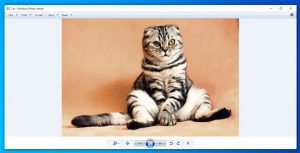 Aplikasi Pembuka Foto Windows Photo Viewer