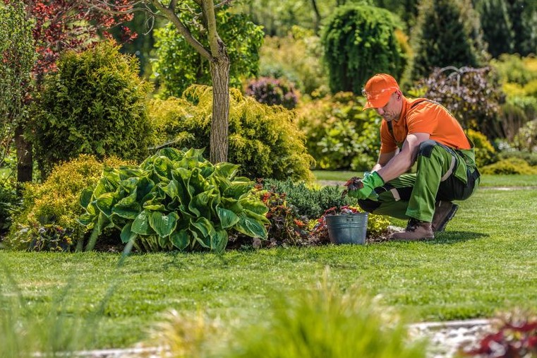 Gardener adalah