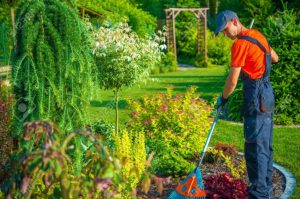 Skill Seroang Gardener