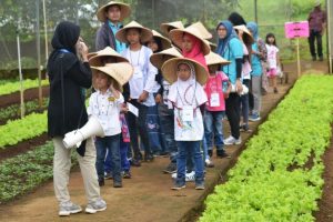 Wisata Berdasarkan Tujuan