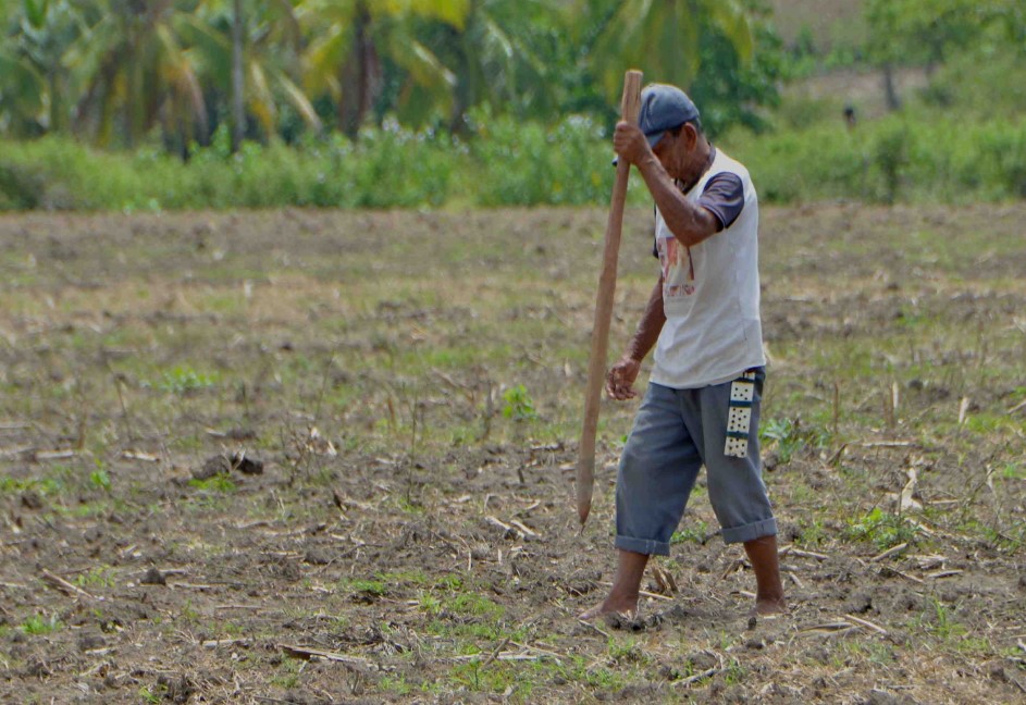 Alat Pertanian Tradisional Taju (Tugal)