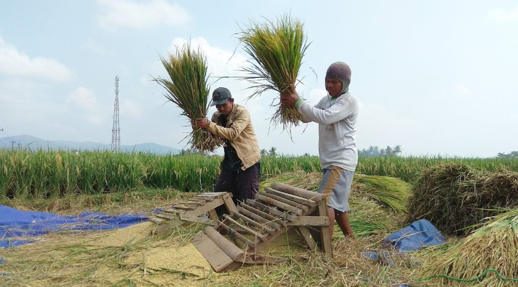 Alat Semprot Pertanian Gepyok Padi