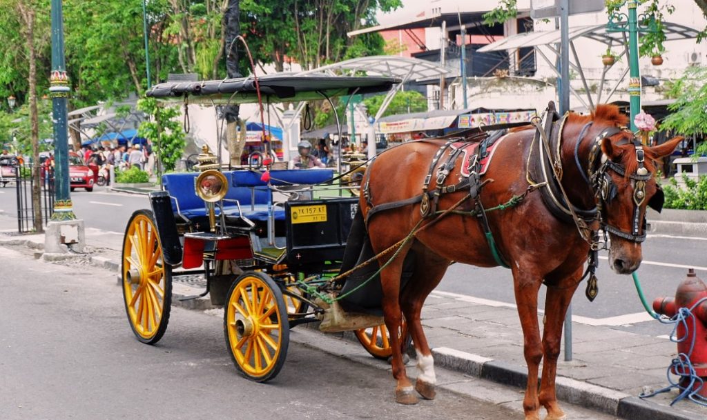 Alat Transportasi Tradisional Andong