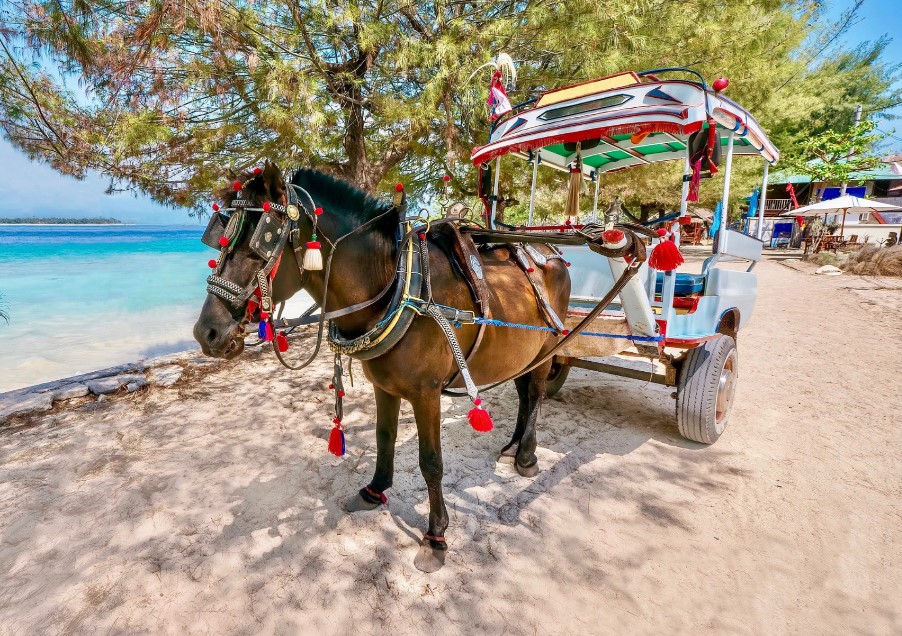 Alat Transportasi Tradisional Cidomo