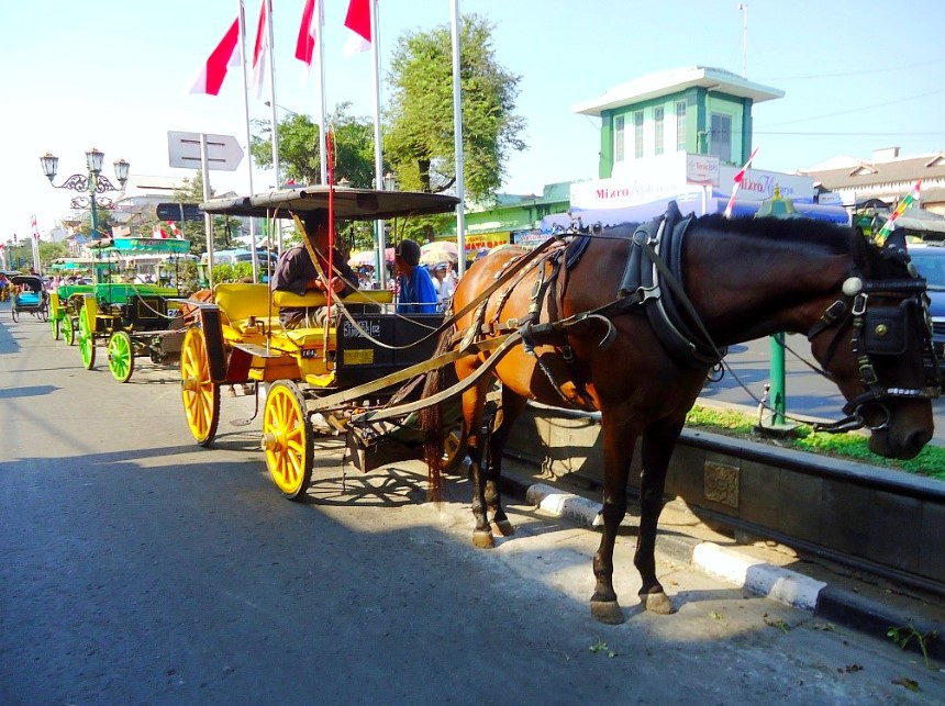 Alat Transportasi Tradisional Delman