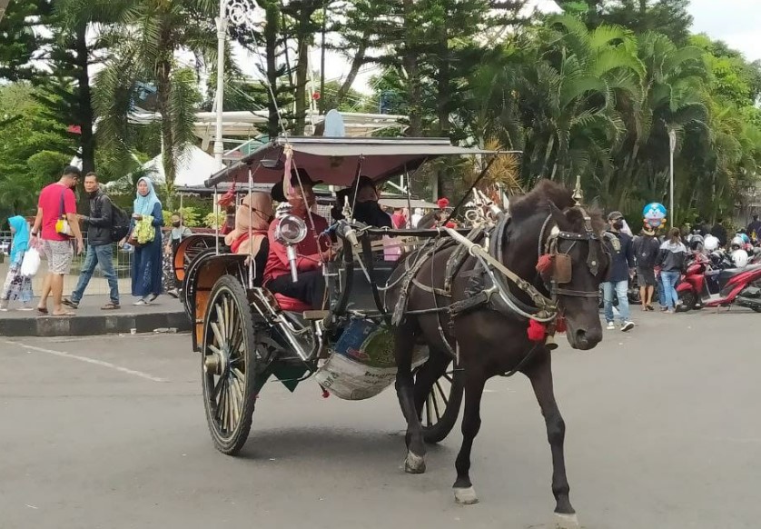 Alat Transportasi Tradisional Dokar