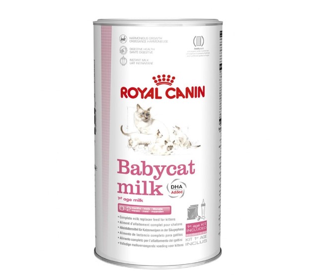 Jenis Royal Canin Baby Cat Milk dan Manfaatnya