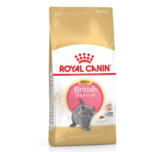 Jenis Royal Canin Bristih Shorthair Kitten dan Manfaatnya