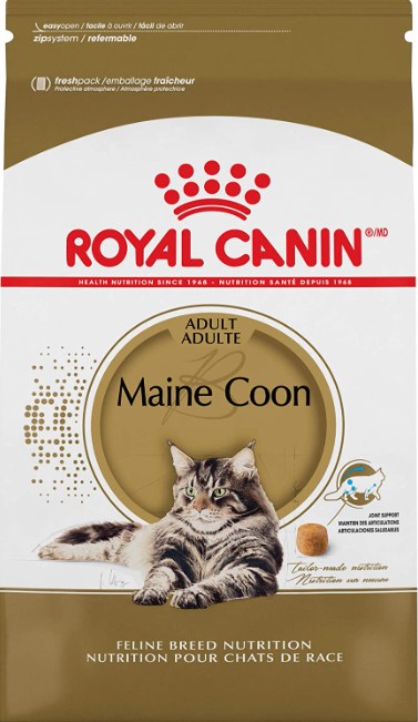 Jenis Royal Canin Maine Coon