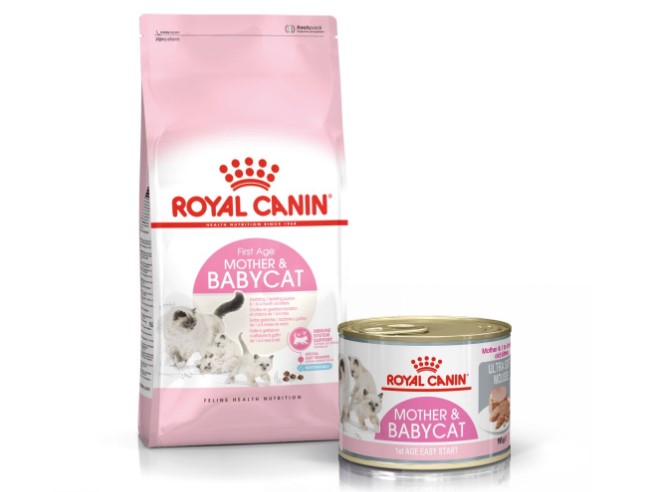 Jenis Royal Canin Mother & Baby Cat Mousse