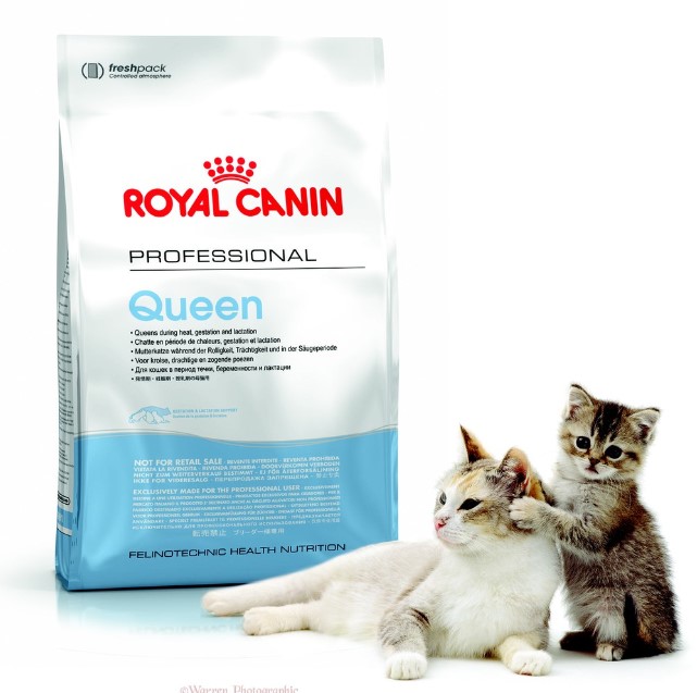 Jenis Royal Canin Queen dan Manfaatnya