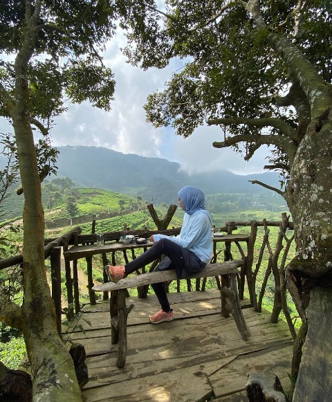 Bukit Kopi Puncak Bogor