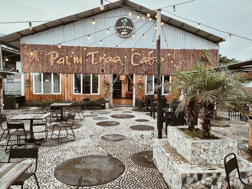 Palm Tree Cafe Batu Malang